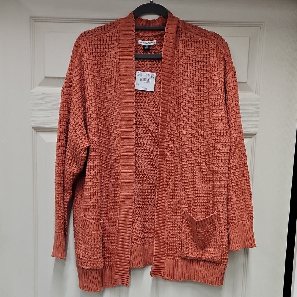 American Eagle Outfitters Terracotta Cardigan Sweater